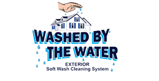 Washed by the Water LLC Logo